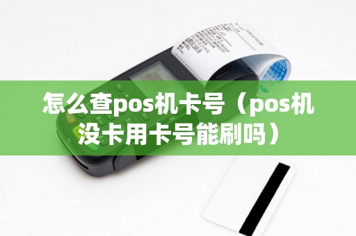 怎么查pos机卡号（pos机没卡用卡号能刷吗）