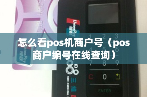 怎么看pos机商户号（pos商户编号在线查询）