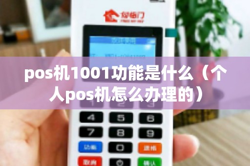 pos机1001功能是什么（个人pos机怎么办理的）