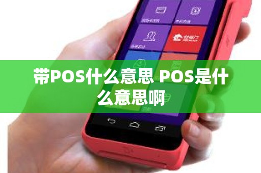 带POS什么意思 POS是什么意思啊