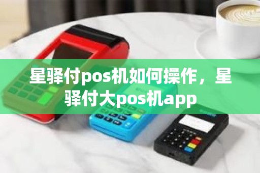 星驿付pos机如何操作，星驿付大pos机app