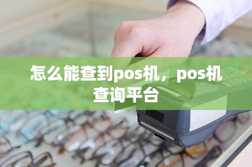 怎么能查到pos机，pos机查询平台