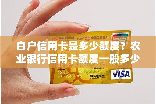 白户信用卡是多少额度？农业银行信用卡额度一般多少