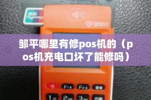 邹平哪里有修pos机的（pos机充电口坏了能修吗）