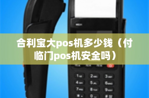 合利宝大pos机多少钱（付临门pos机安全吗）