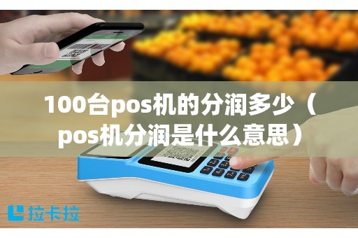 100台pos机的分润多少（pos机分润是什么意思）