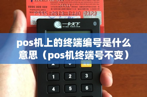 pos机上的终端编号是什么意思（pos机终端号不变）