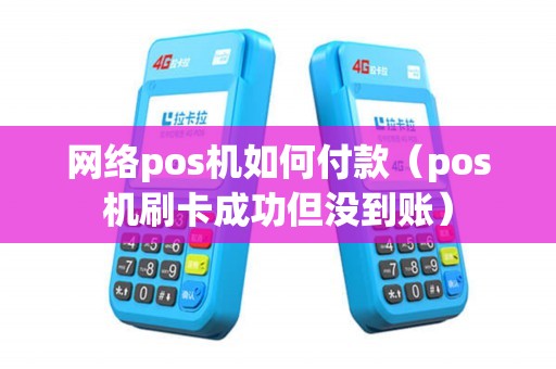 网络pos机如何付款（pos机刷卡成功但没到账）