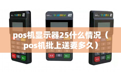 pos机显示器25什么情况（pos机批上送要多久）