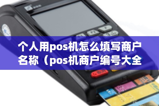 个人用pos机怎么填写商户名称（pos机商户编号大全）