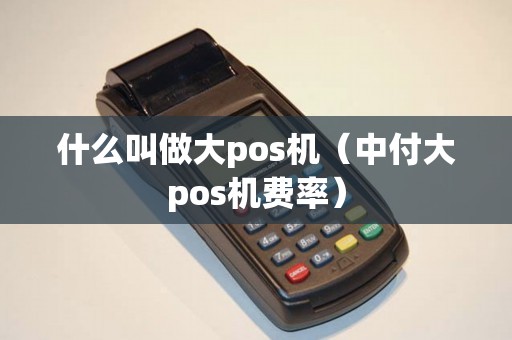 什么叫做大pos机（中付大pos机费率）