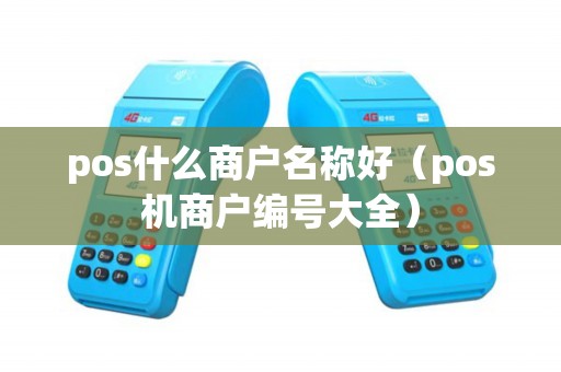 pos什么商户名称好（pos机商户编号大全）