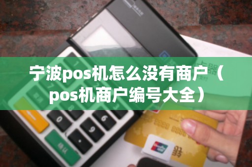 宁波pos机怎么没有商户（pos机商户编号大全）