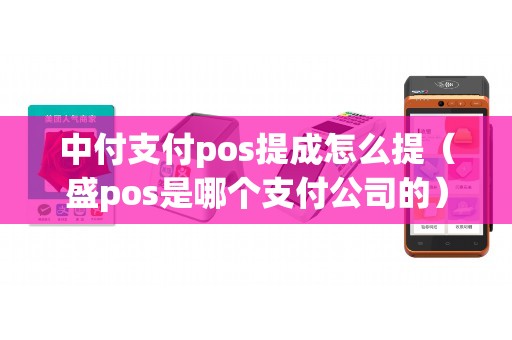 中付支付pos提成怎么提（盛pos是哪个支付公司的）