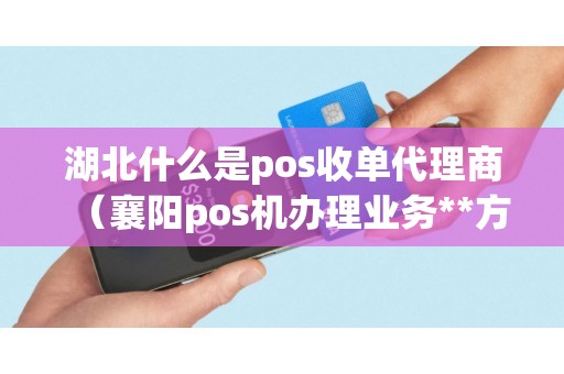 湖北什么是pos收单代理商（襄阳pos机办理业务**方式）