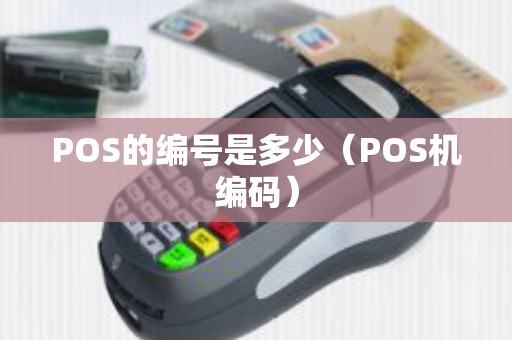 POS的编号是多少（POS机编码）