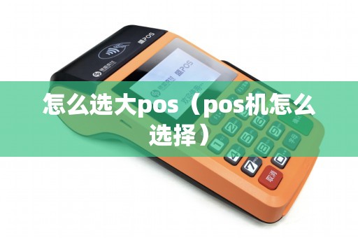 怎么选大pos（pos机怎么选择）