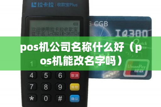 pos机公司名称什么好（pos机能改名字吗）