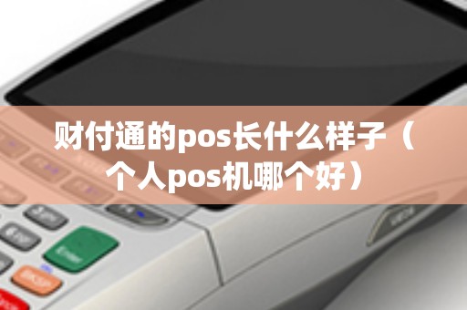 财付通的pos长什么样子（个人pos机哪个好）