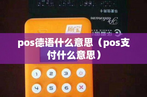 pos德语什么意思（pos支付什么意思）