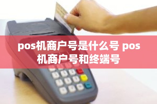 pos机商户号是什么号 pos机商户号和终端号