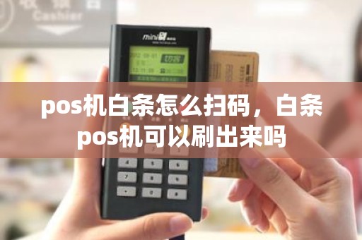 pos机白条怎么扫码，白条pos机可以刷出来吗