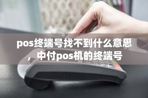 pos终端号找不到什么意思，中付pos机的终端号