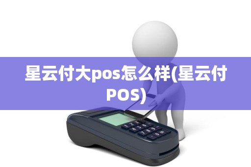 星云付大pos怎么样(星云付POS)