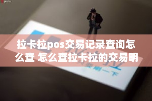 拉卡拉pos交易记录查询怎么查 怎么查拉卡拉的交易明细