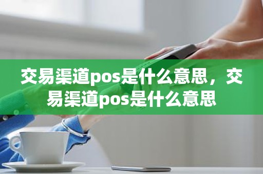 交易渠道pos是什么意思，交易渠道pos是什么意思