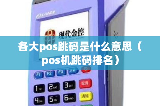 各大pos跳码是什么意思（pos机跳码排名）