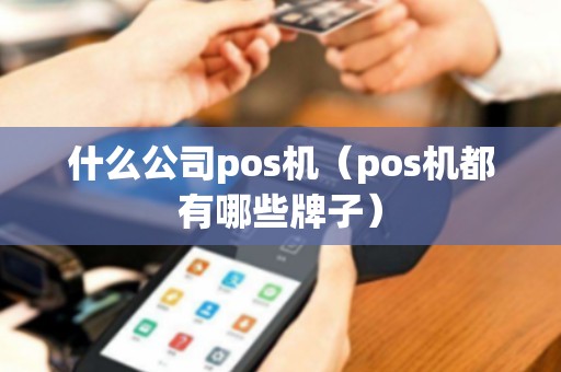 什么公司pos机（pos机都有哪些牌子）