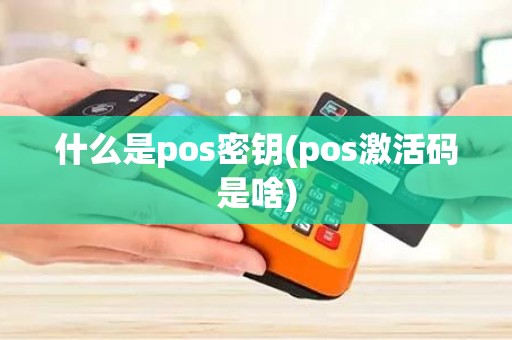 什么是pos密钥(pos激活码是啥)