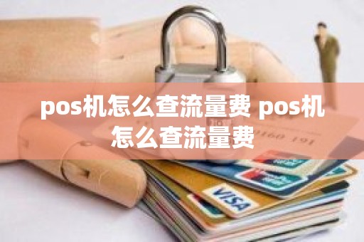 pos机怎么查流量费 pos机怎么查流量费