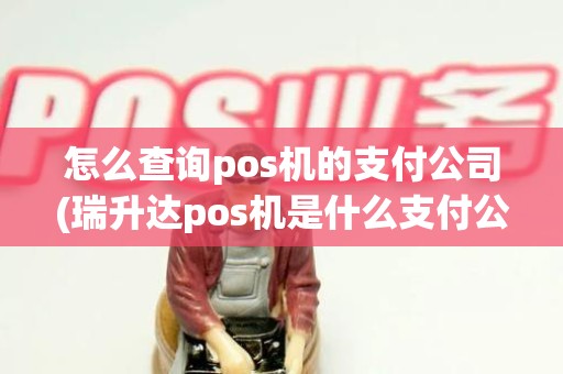 怎么查询pos机的支付公司(瑞升达pos机是什么支付公司)