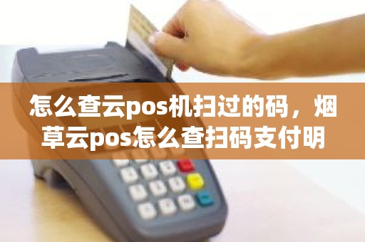 怎么查云pos机扫过的码，烟草云pos怎么查扫码支付明细