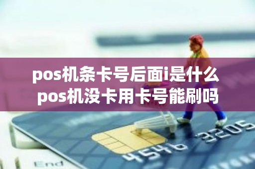 pos机条卡号后面i是什么 pos机没卡用卡号能刷吗