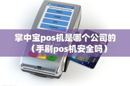 掌中宝pos机是哪个公司的（手刷pos机安全吗）