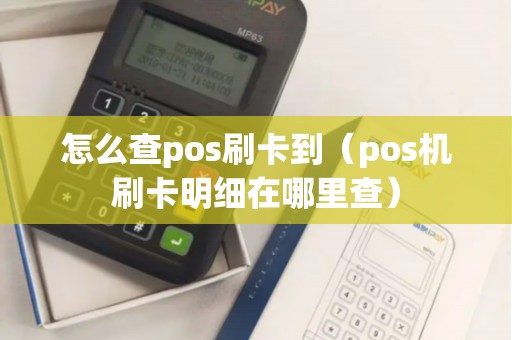 怎么查pos刷卡到（pos机刷卡明细在哪里查）