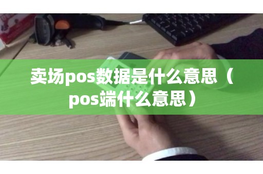 卖场pos数据是什么意思（pos端什么意思）