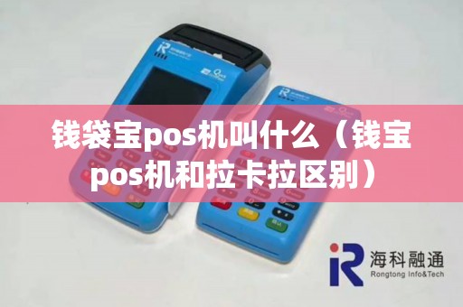 钱袋宝pos机叫什么（钱宝pos机和拉卡拉区别）