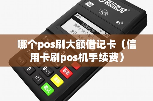 哪个pos刷大额借记卡（信用卡刷pos机手续费）