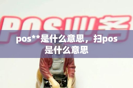 pos**是什么意思，扫pos是什么意思