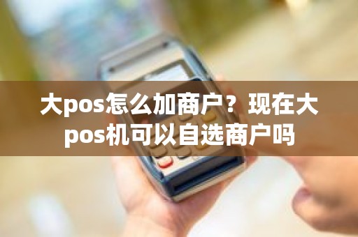 大pos怎么加商户？现在大pos机可以自选商户吗