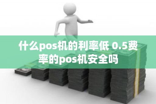 什么pos机的利率低 0.5费率的pos机安全吗