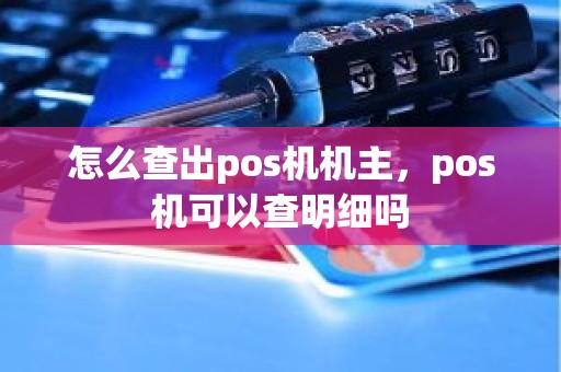 怎么查出pos机机主，pos机可以查明细吗