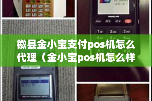 徽县金小宝支付pos机怎么代理（金小宝pos机怎么样）