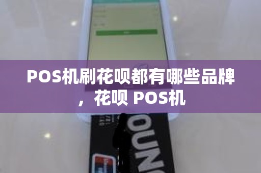 POS机刷花呗都有哪些品牌，花呗 POS机