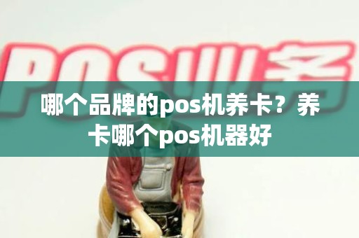 哪个品牌的pos机养卡？养卡哪个pos机器好