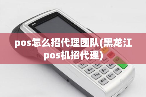 pos怎么招代理团队(黑龙江pos机招代理)